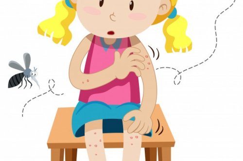 Everything you need to know about Dengue!