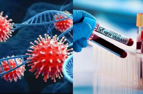 5 facts about the new variant, the fresh Covid XE variant