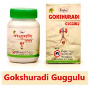 Unjha Gokshuradi Guggulu - 60 Tablets